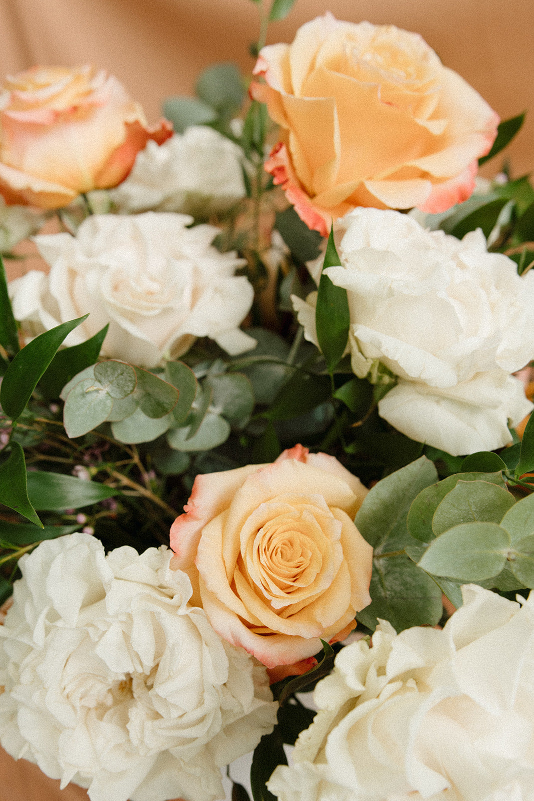 The Lena | Roses
