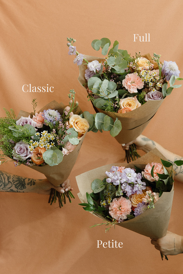 Tender Wild | Colourful