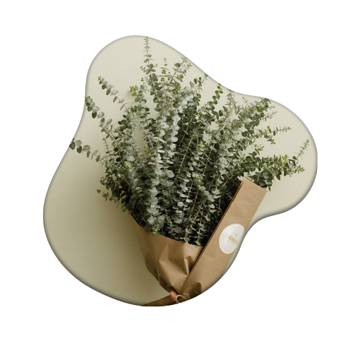 multimedia collage image