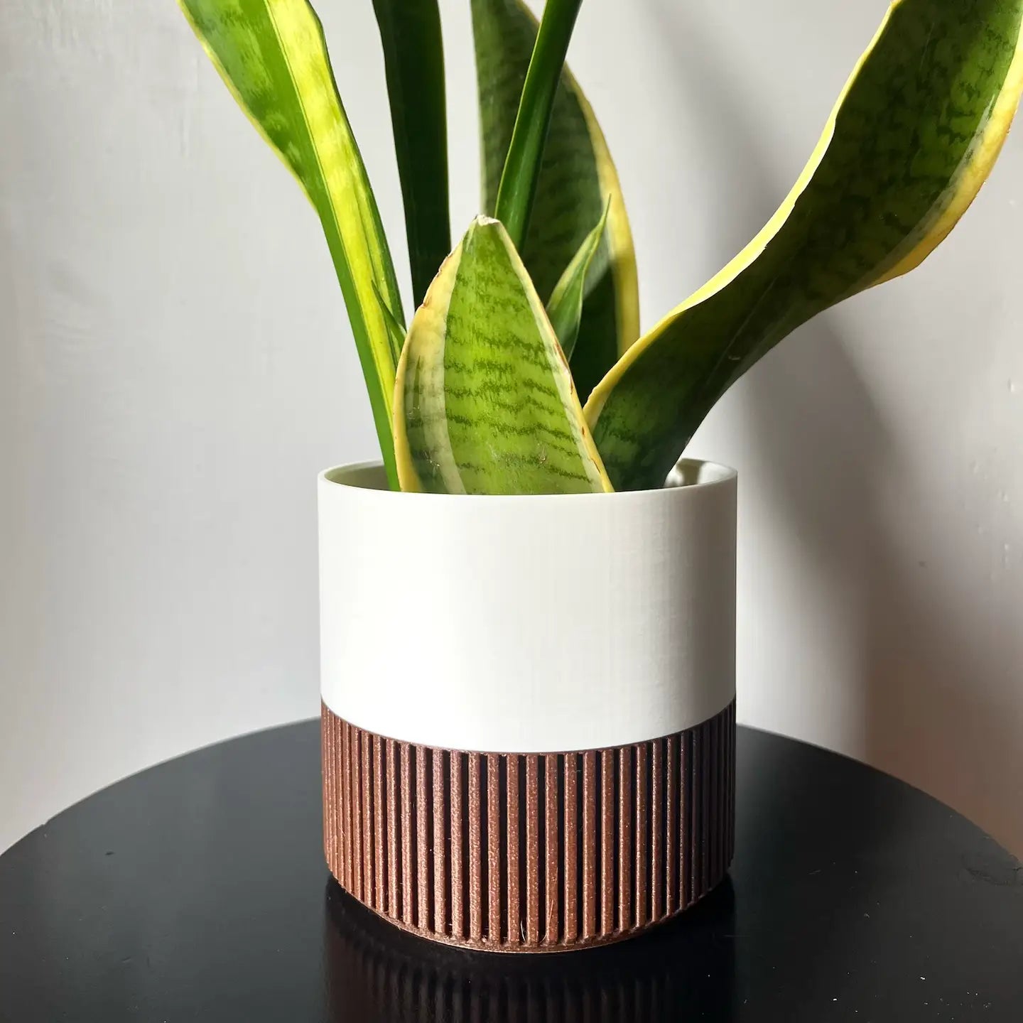 Two-Toned Cedar & White Plant Pot