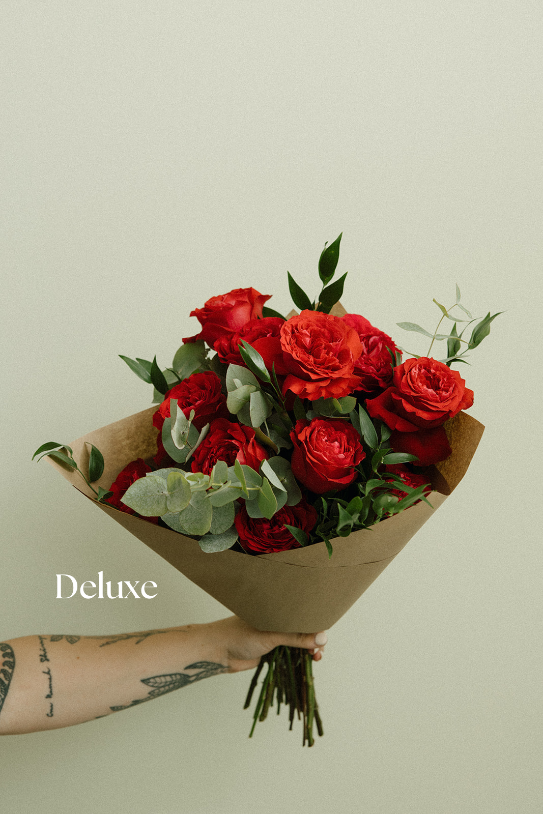 The Lena | Roses
