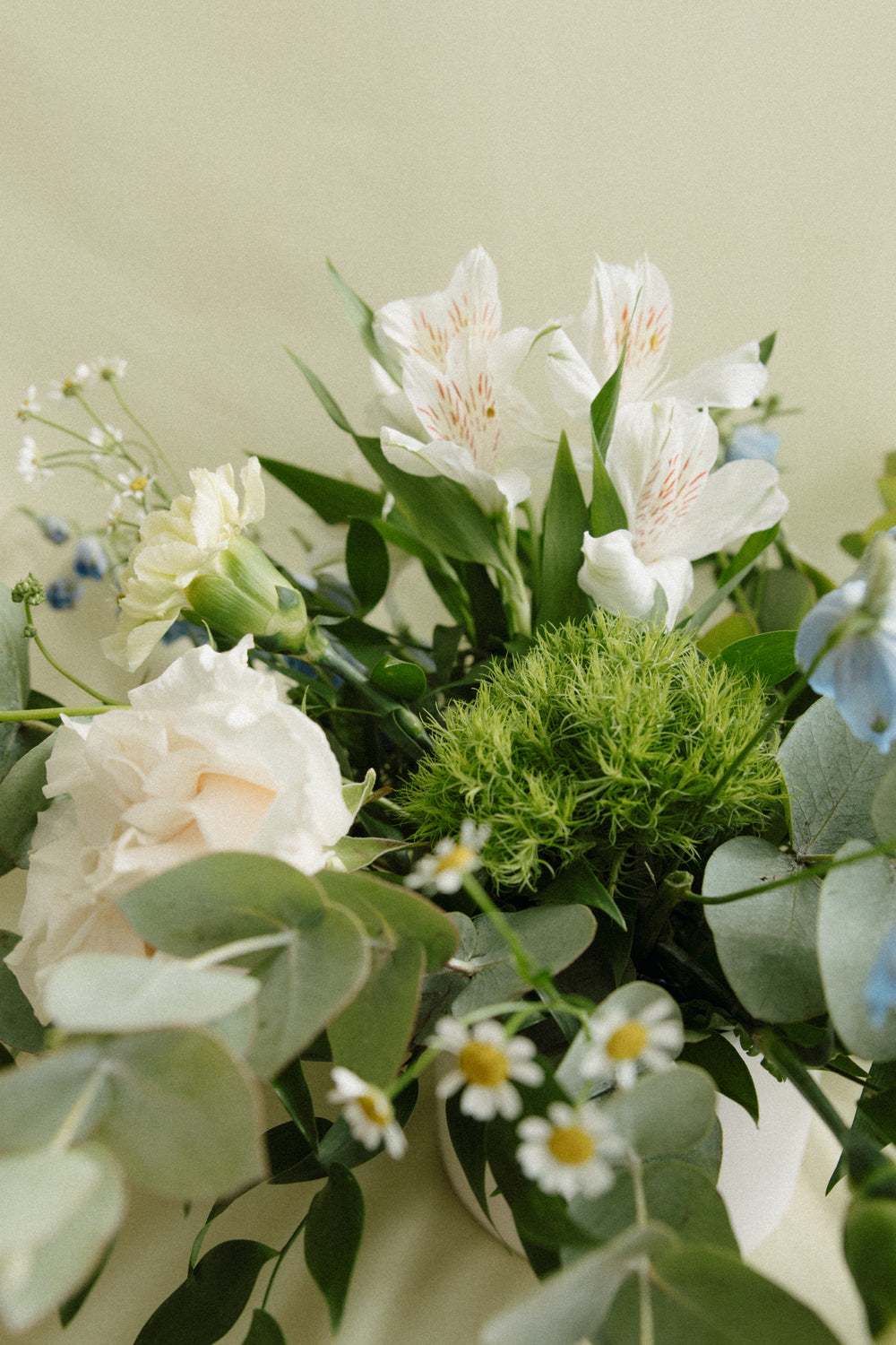 Waterton | White, Blues and Greens