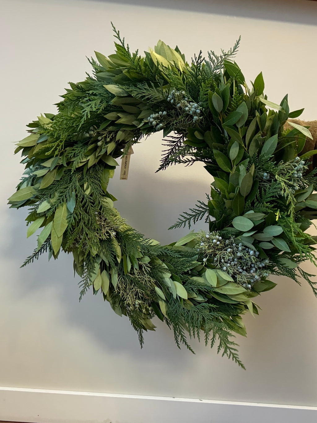 Wreath: Bay, Juniper, Western Red, Green, 23 in