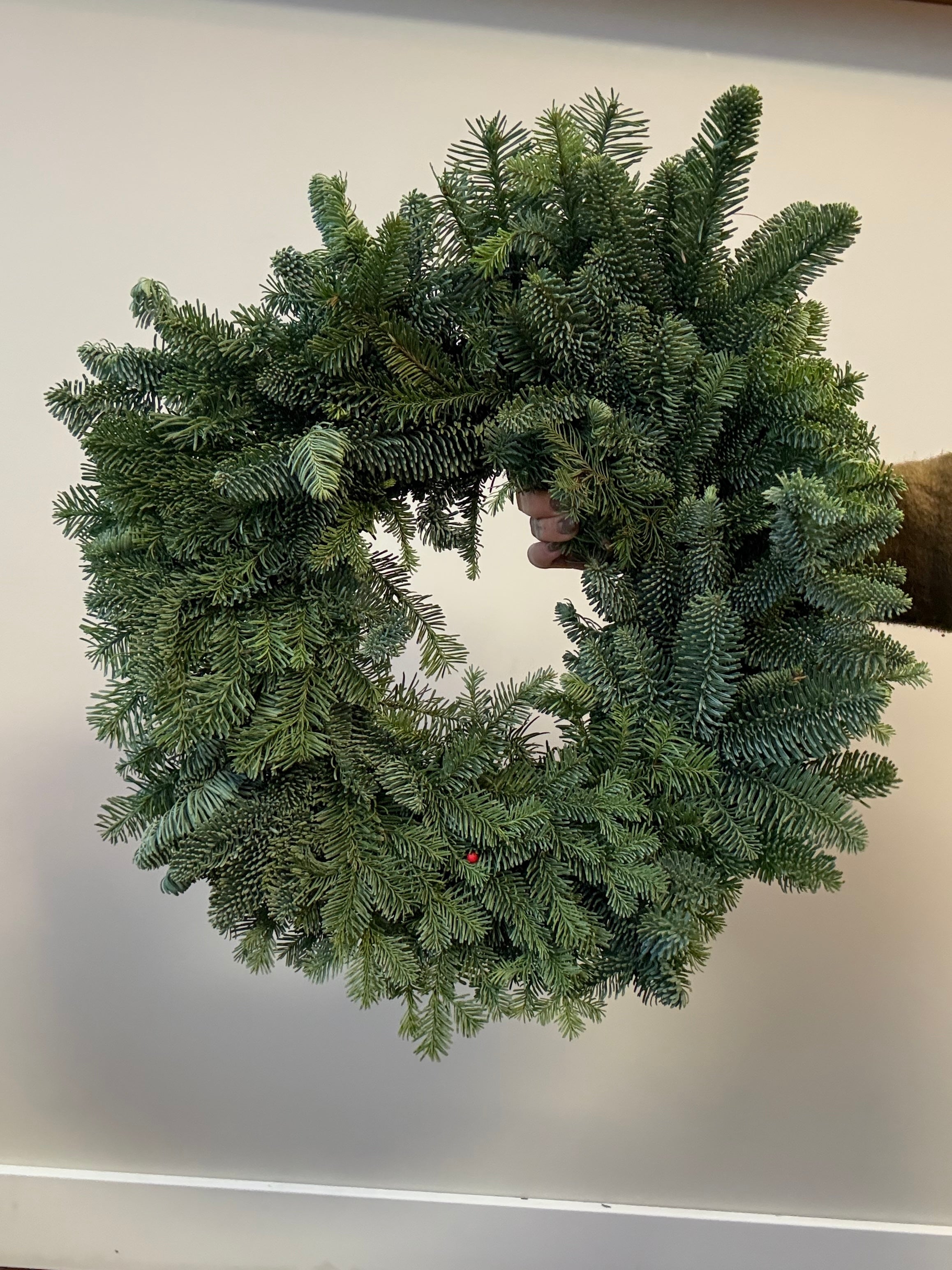 Wreath: Noble Fir, Green, 18 in