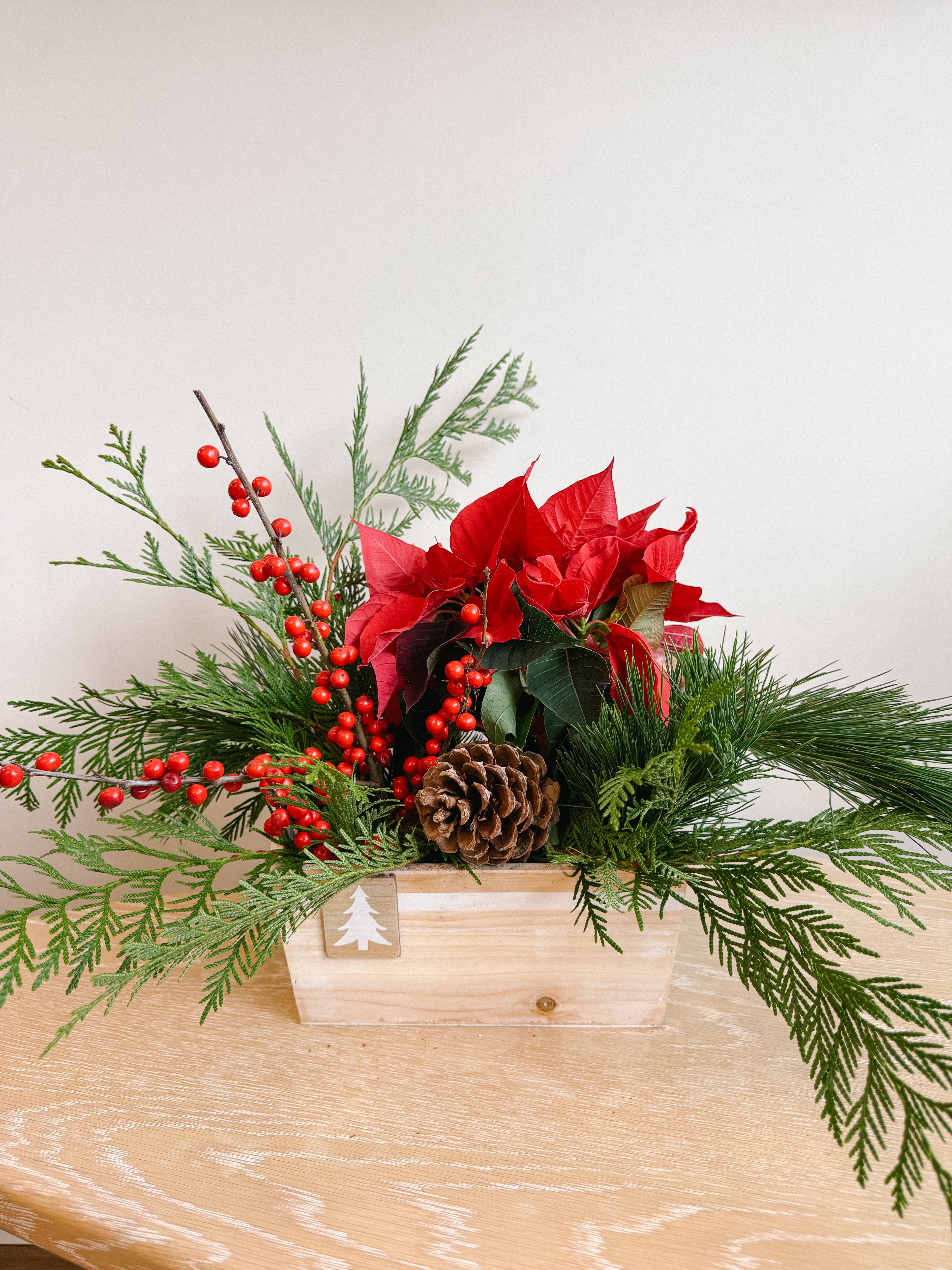 Poinsettia Planter Box