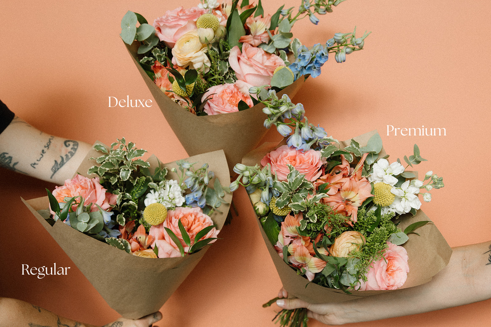 The Sunrise | Bright and Bold