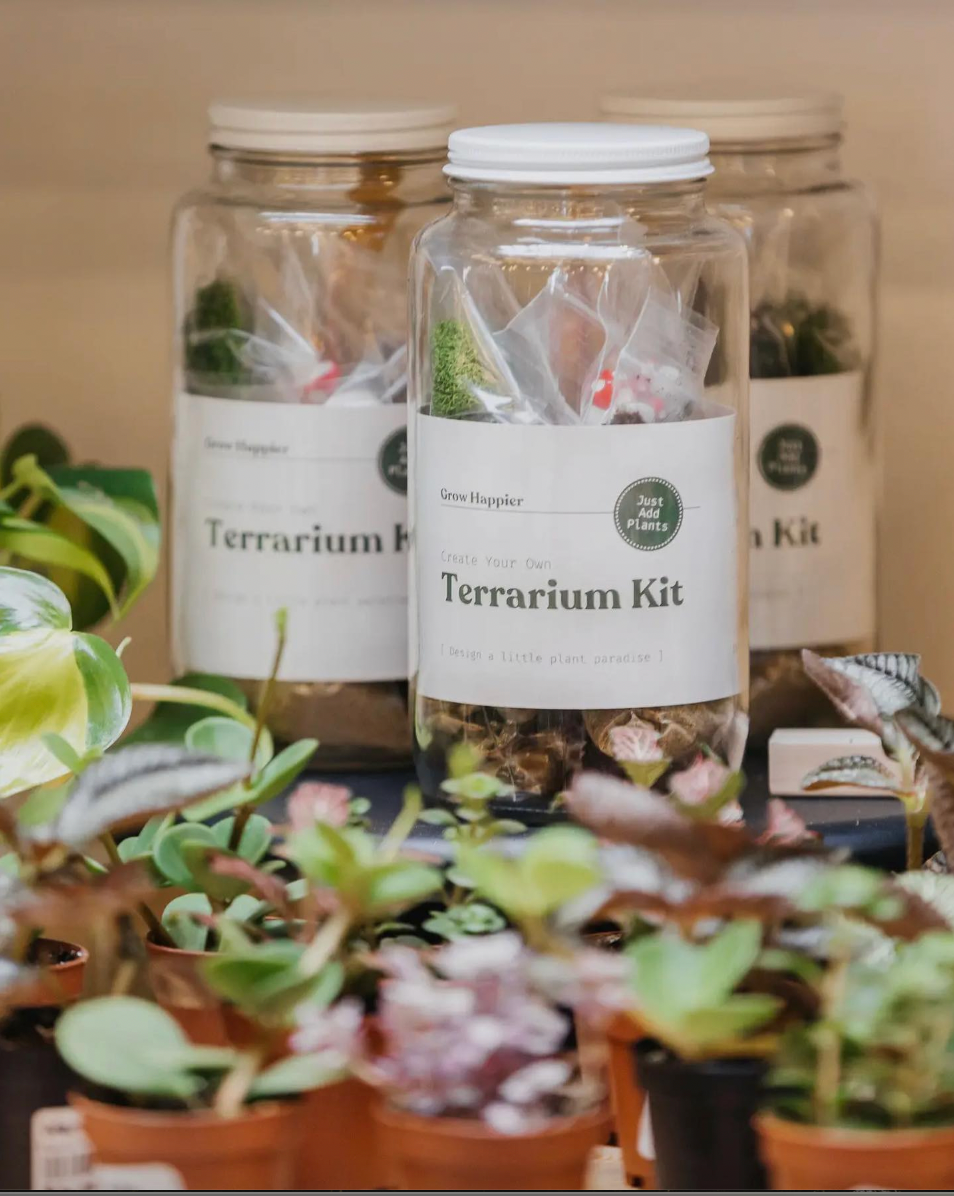 Plant Terrarium Kit
