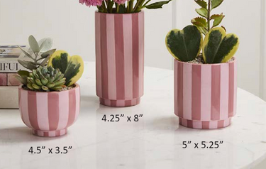 Pink Stripe Pot