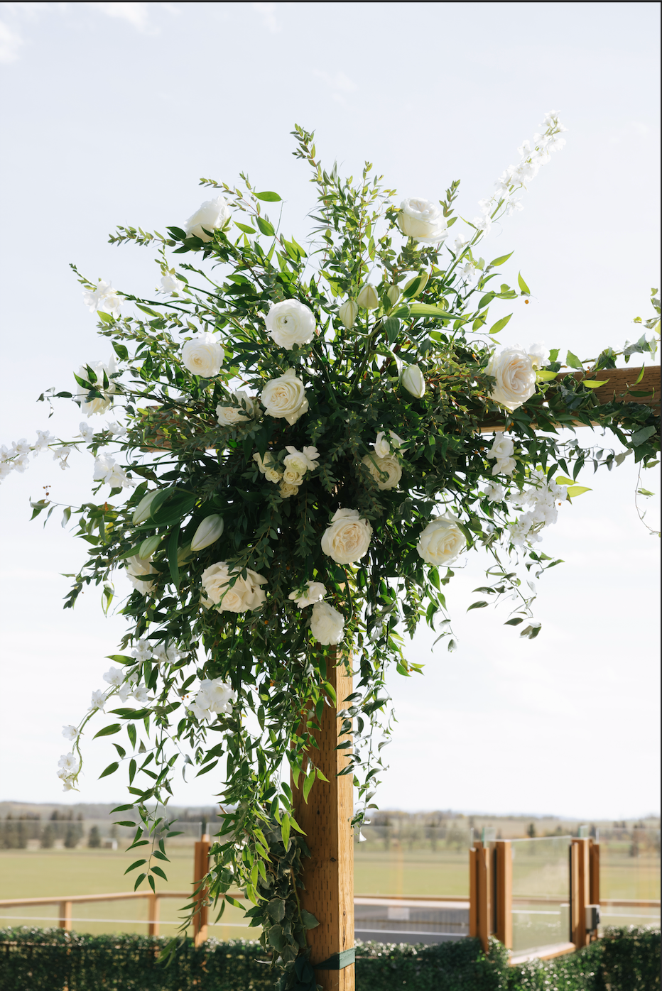 multimedia collage image