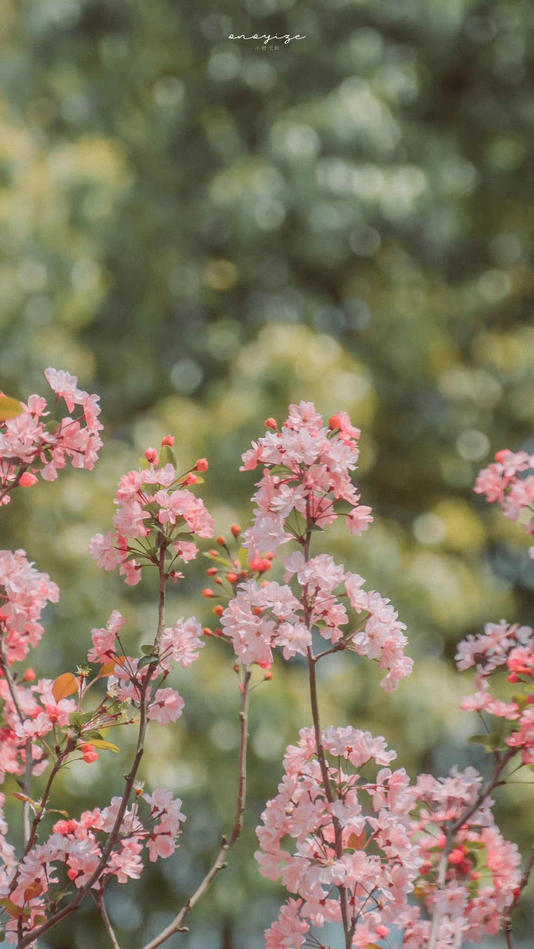 slideshow placeholder