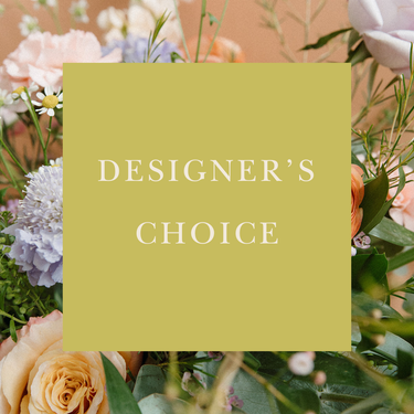 Designer's Choice | Get Creative