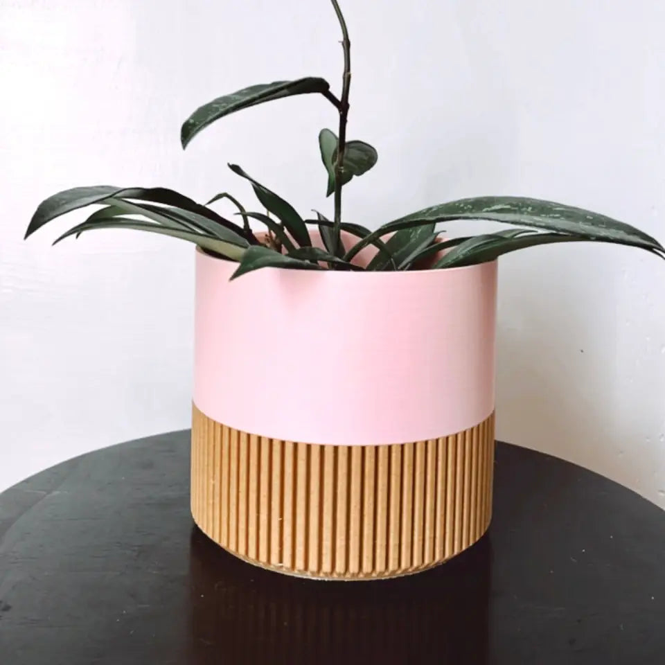 Two-Toned Cedar & Pink Plant Pot