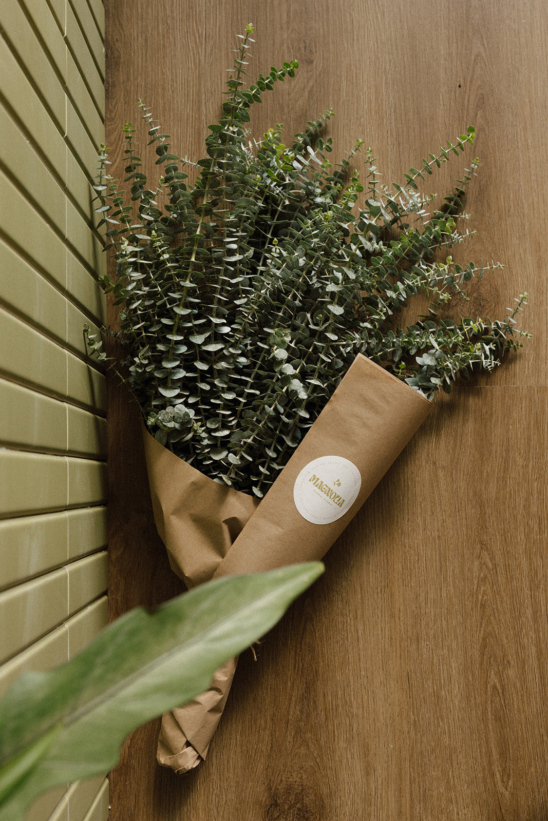 Fresh Eucalyptus