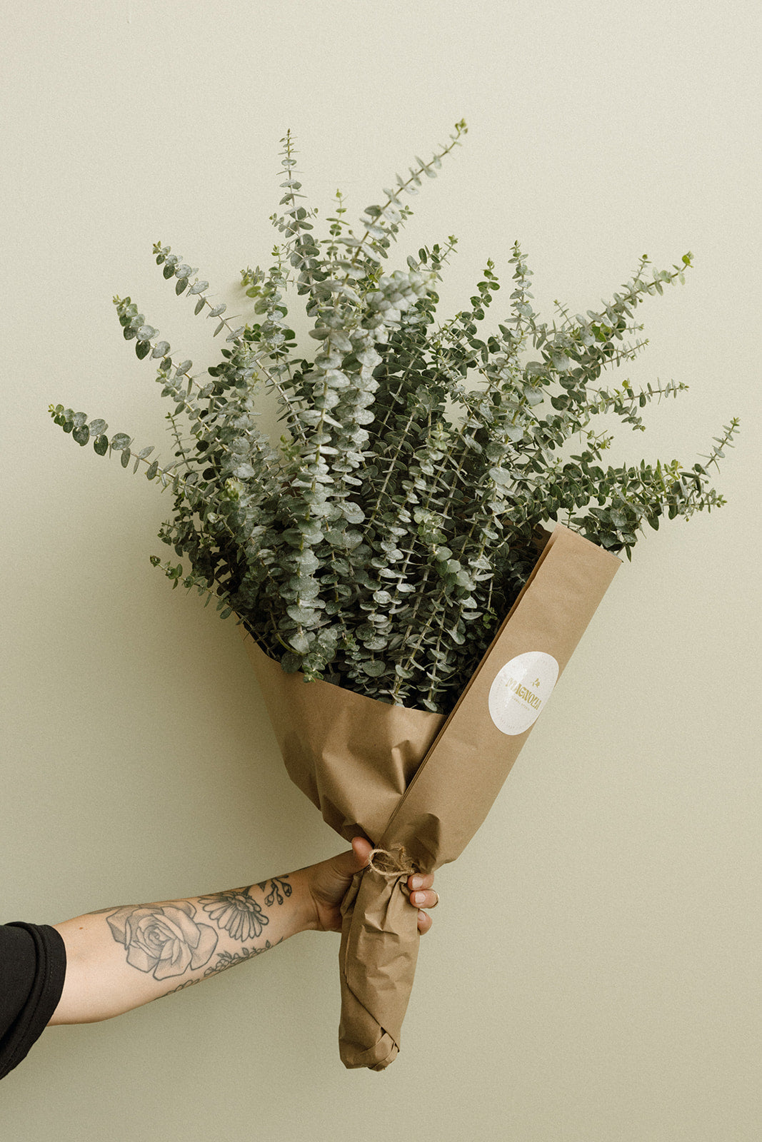 Fresh Eucalyptus