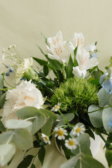 West Glacier | White + Green