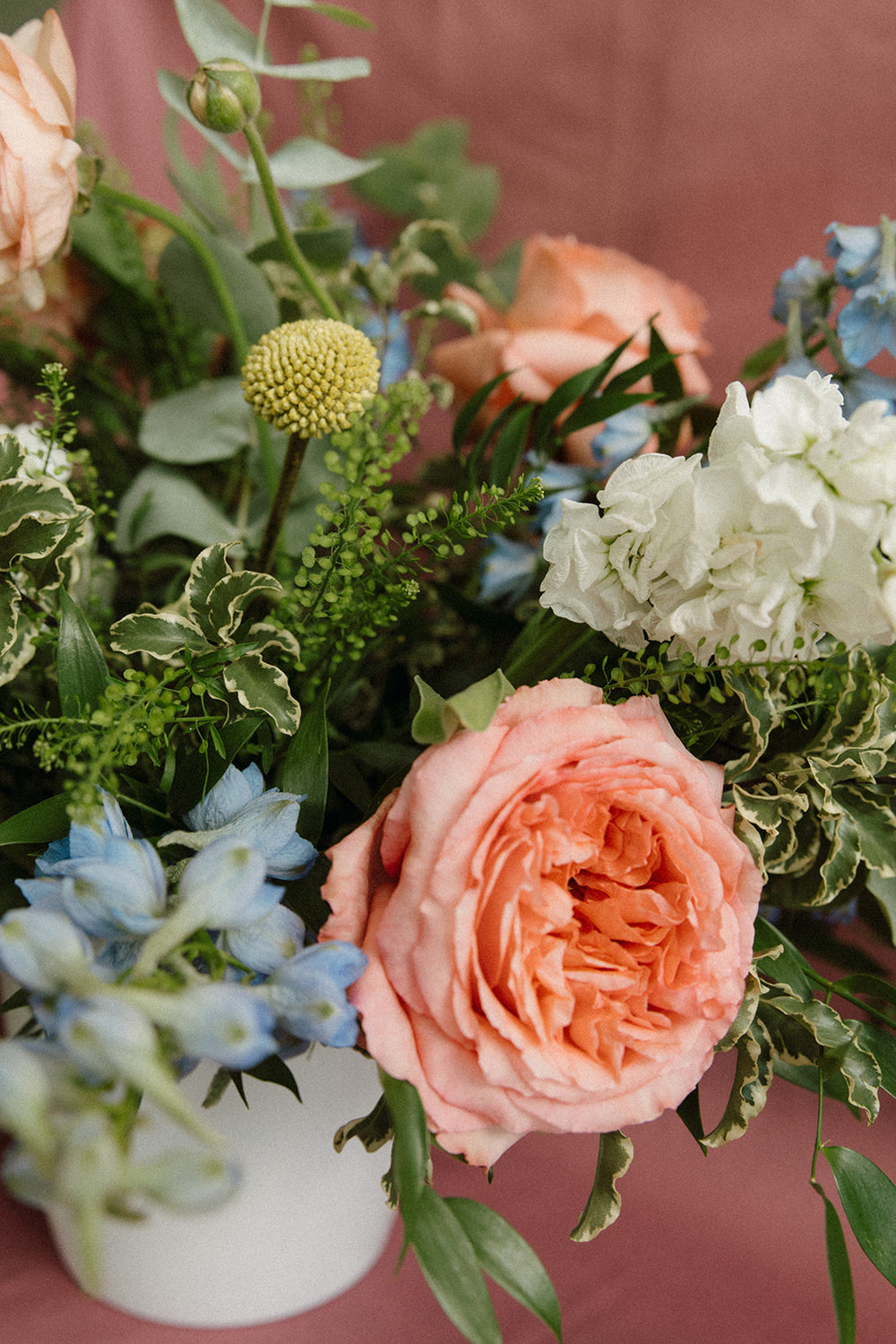 The Sunrise | Bright and Bold