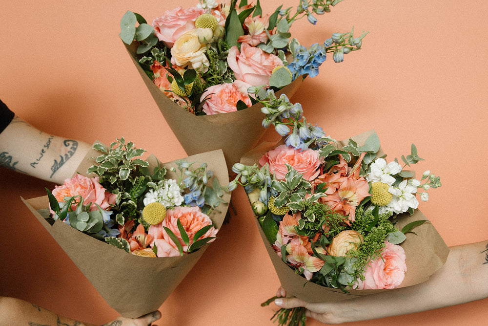 Tender Wild | Colourful