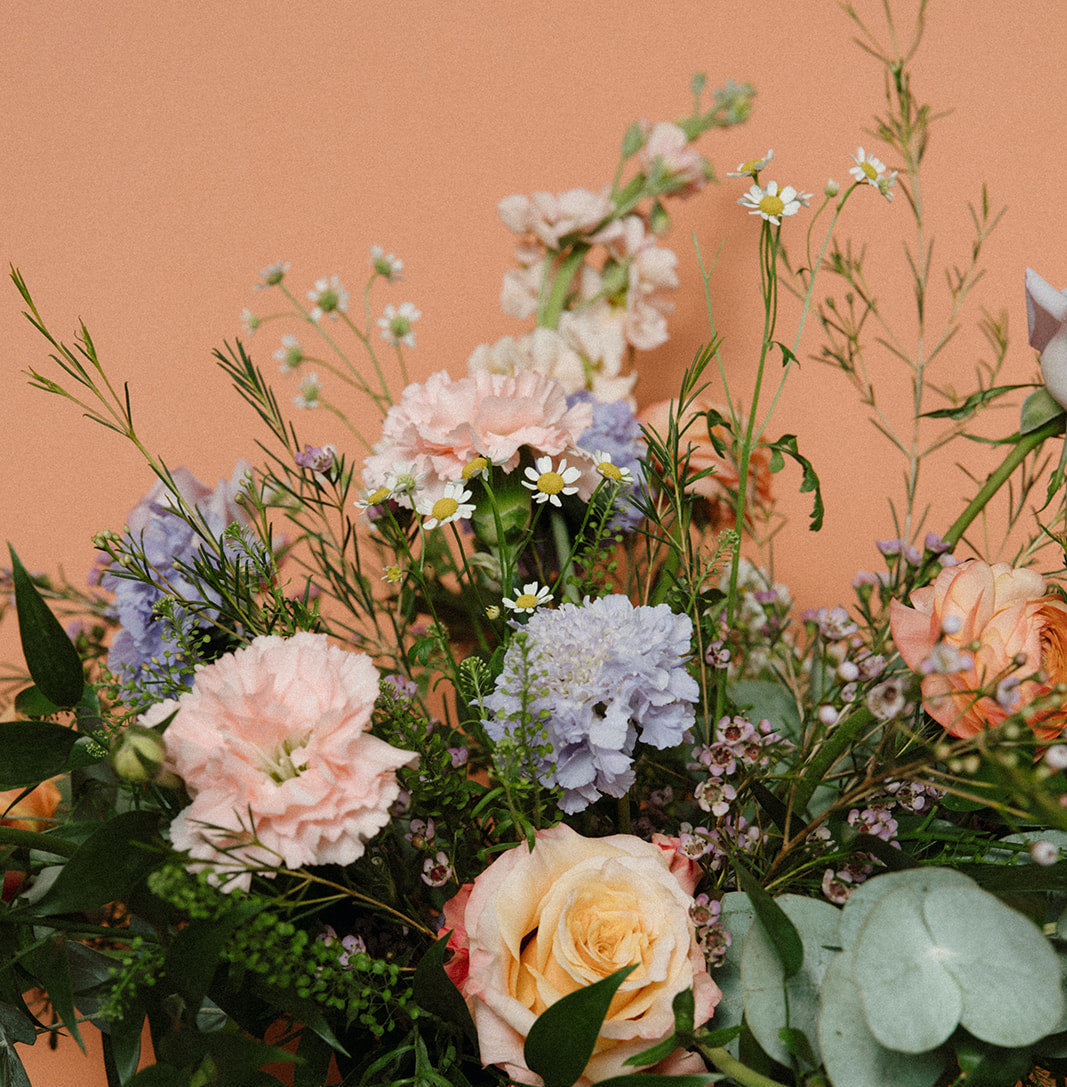 Tender Wild | Colourful