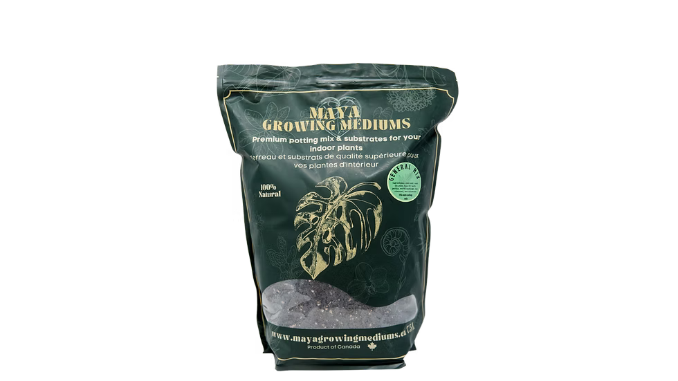 Cactus Blend-Potting Soil