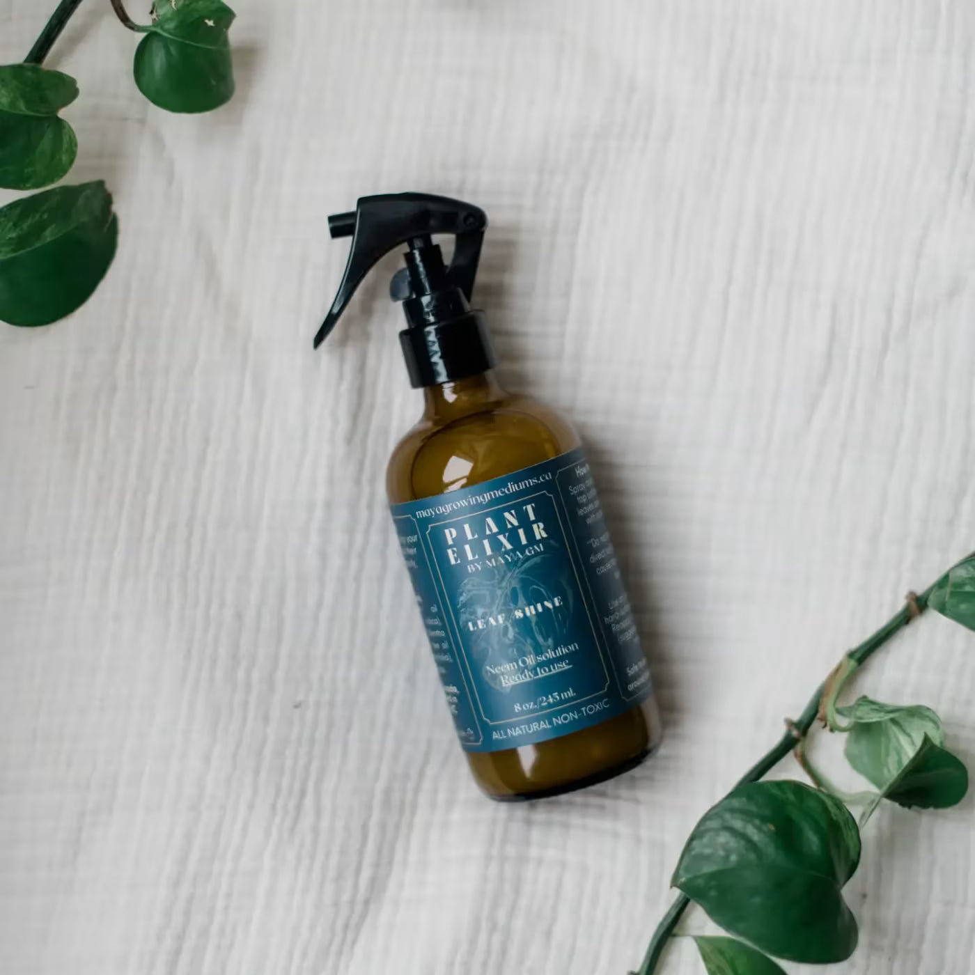 Plant Elixir Leaf Shine