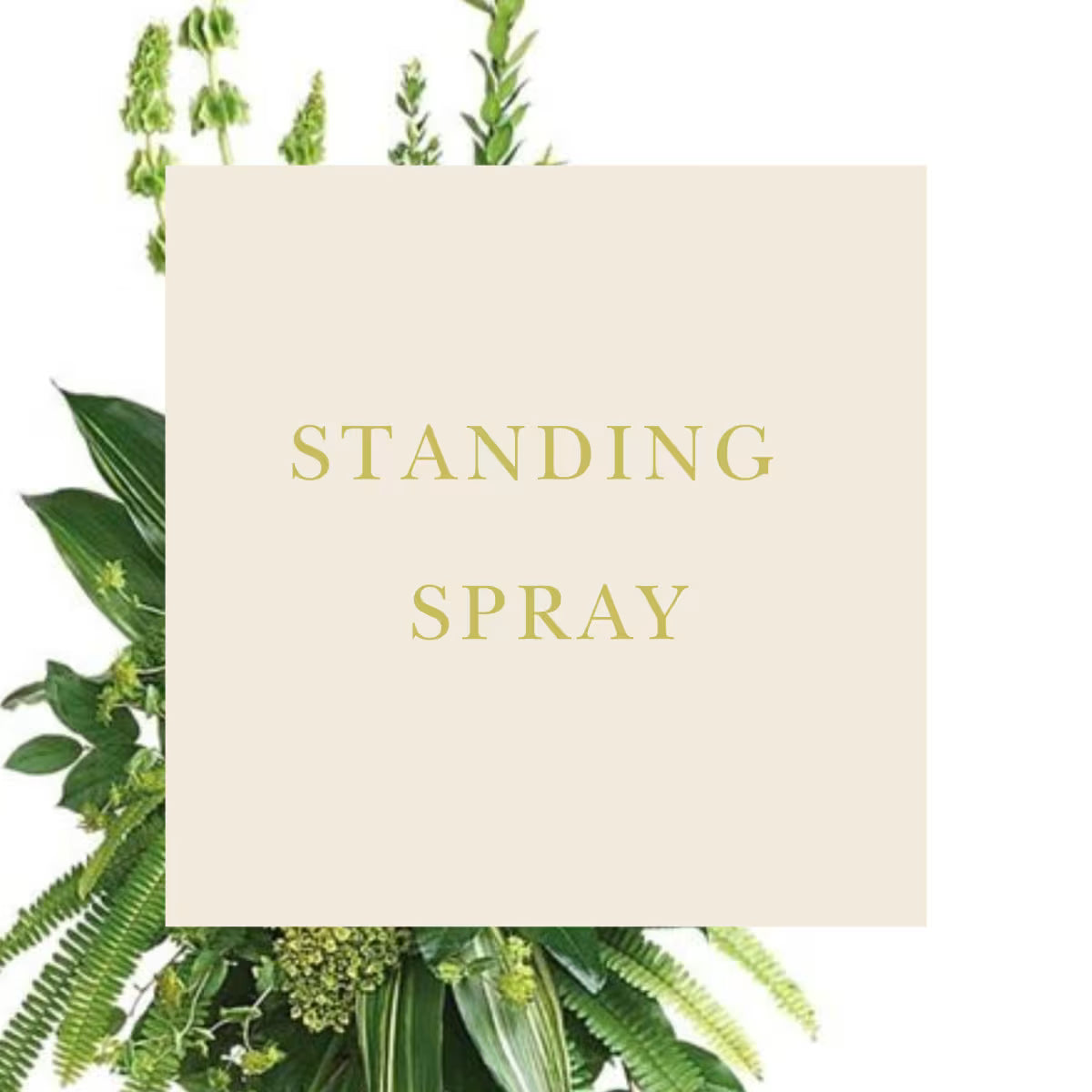 Standing Spray
